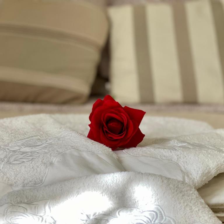 Rosa Charme Casa Vacanze - One-Bedroom House - 10
