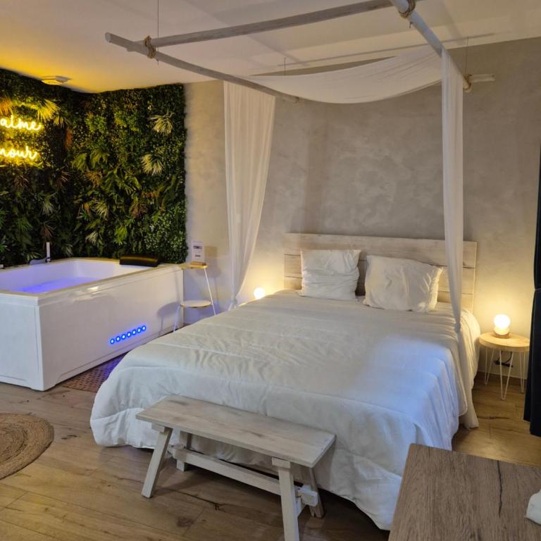 L'Eden Zen - Suite Jacuzzi, parking, clim, Netflix - Appartement 1 Chambre - 7