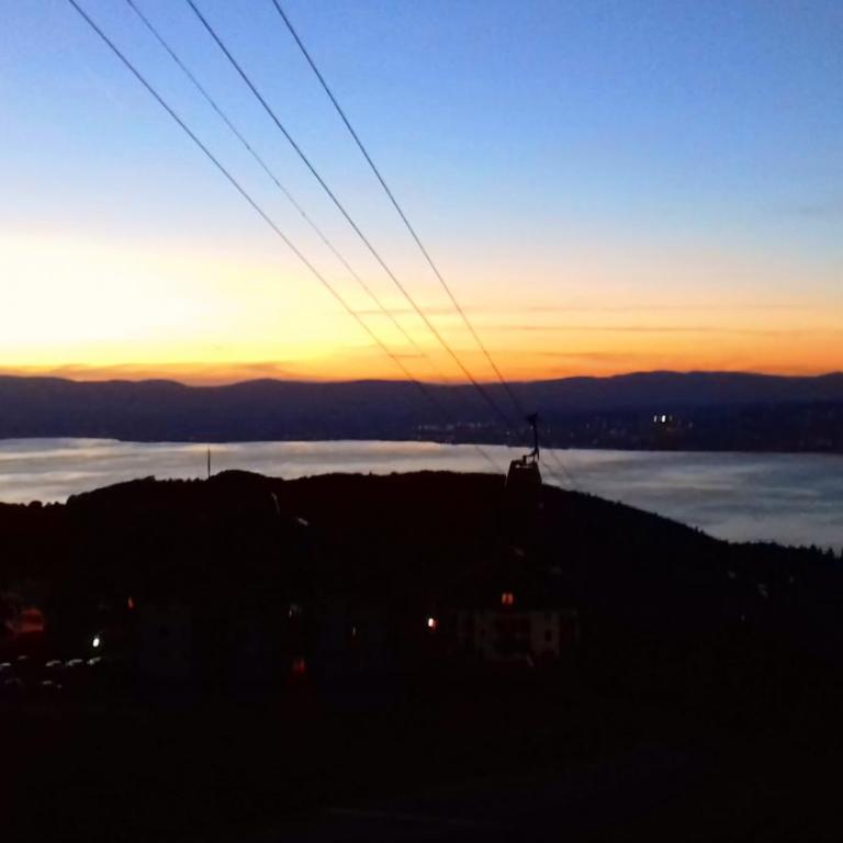 Chalet les Alpages vue panoramique sur le lac Léman - Chalet - 34