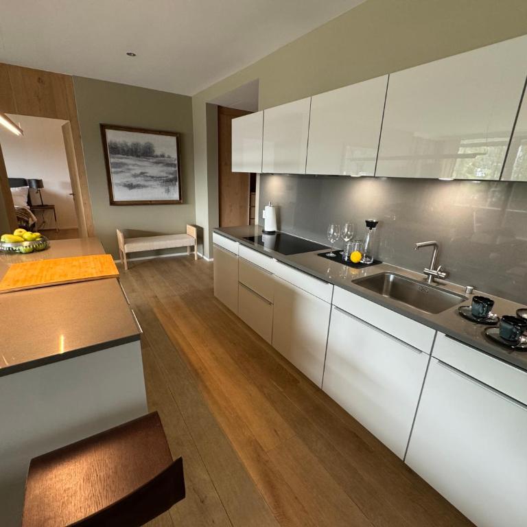 Alpine Luxury Apartment Davos with Spa Access to 5 Star Hotel - Apartment mit 2 Schlafzimmern - 41