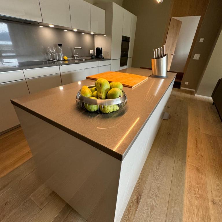 Alpine Luxury Apartment Davos with Spa Access to 5 Star Hotel - Apartment mit 2 Schlafzimmern - 43