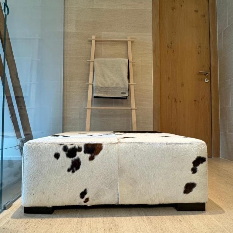 Alpine Luxury Apartment Davos with Spa Access to 5 Star Hotel - Apartment mit 2 Schlafzimmern - 56