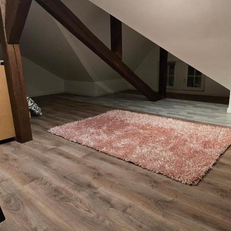 La Tour du Rempart - Appartement T2 en duplex en hypercentre de Colmar - Appartamento con 1 Camera da Letto - 9