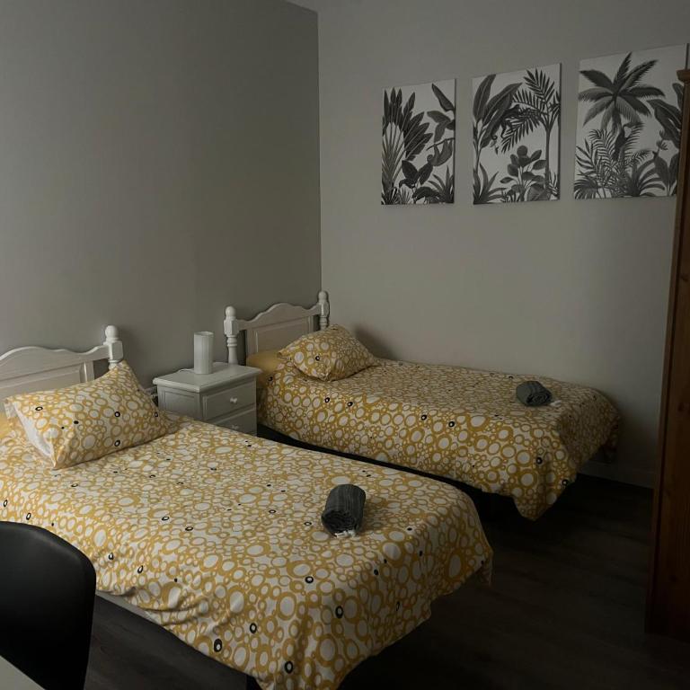 Santa Cruz de Tenerife Toscal, Free Parking gratis - Apartamento - 36