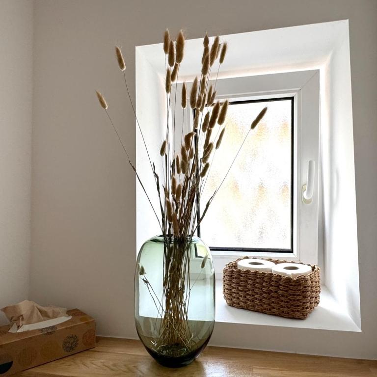 ma suite - idyllisch & modern apartment 2-4 P - Apartment mit 1 Schlafzimmer - 14