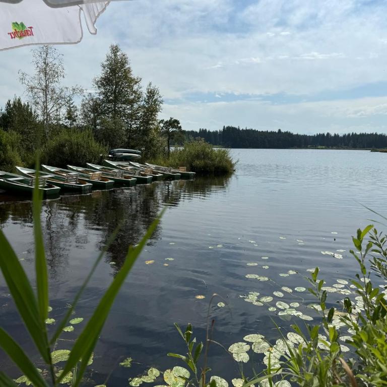 ma suite - idyllisch & modern apartment 2-4 P - Apartment mit 1 Schlafzimmer - 4