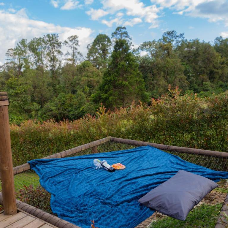 Boskoso Forest Retreat Jacuzzi & Waterfall - Superior Chalet - 14