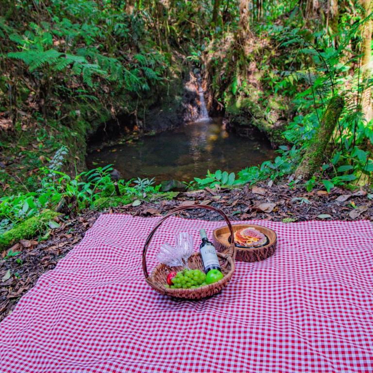 Boskoso Forest Retreat Jacuzzi & Waterfall - Superior Chalet - 20