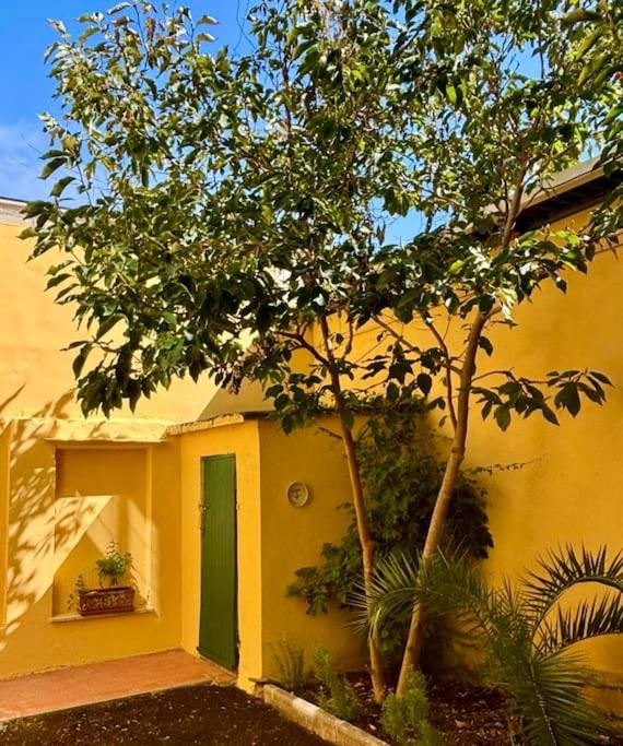 Maremosso studio by the sea with shared garden - Appartamento con 1 Camera da Letto - 15