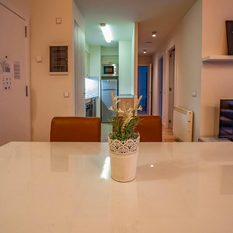Apartaments Superior - Deluxe Apartment - 1