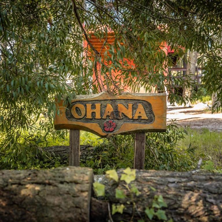 Ohanamarazul en el Bosque - Three-Bedroom House - 6