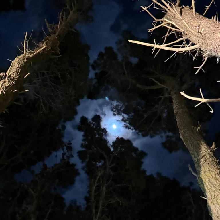 Ohanamarazul en el Bosque - Three-Bedroom House - 27