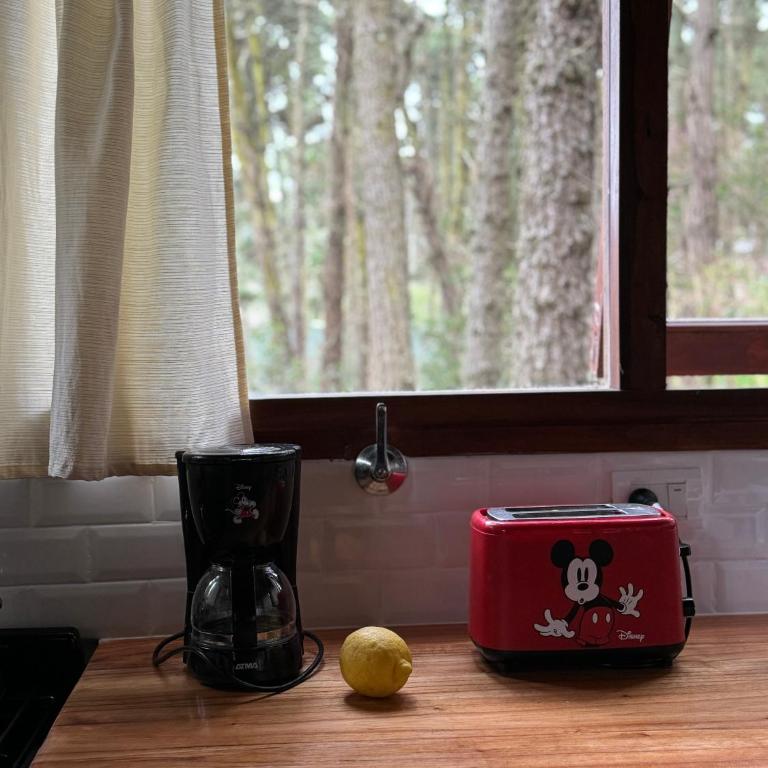 Ohanamarazul en el Bosque - Three-Bedroom House - 11