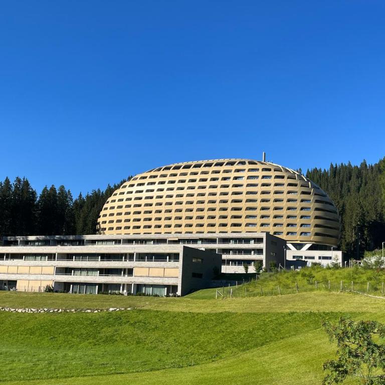 Alpine Luxury Apartment Davos with Spa Access to 5 Star Hotel - Apartment mit 2 Schlafzimmern - 45