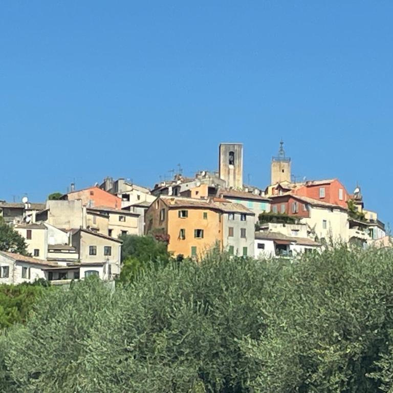 Biot - Place des Arcades - Appartement 1 Chambre - 16