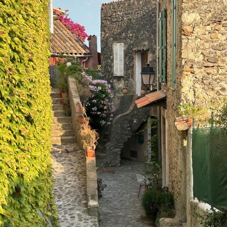 Biot - Place des Arcades - Appartement 1 Chambre - 18