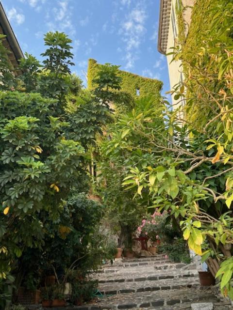 Biot - Place des Arcades - Appartement 1 Chambre - 25