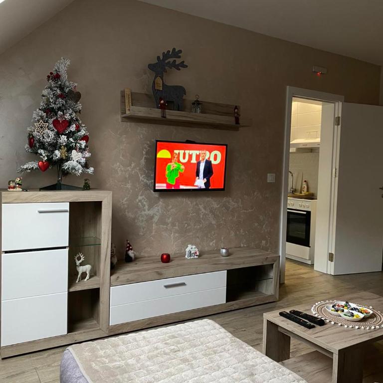 Apartman Maksimović Divčibare - Apartman s 1 Spavaćom Sobom i Terasom - 5