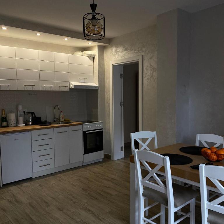 Apartman Maksimović Divčibare - Apartman s 1 Spavaćom Sobom i Terasom - 18