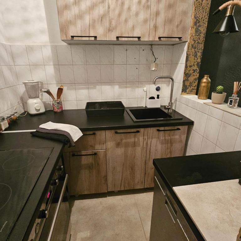 Apartman Jezero - One-Bedroom Apartment - 6