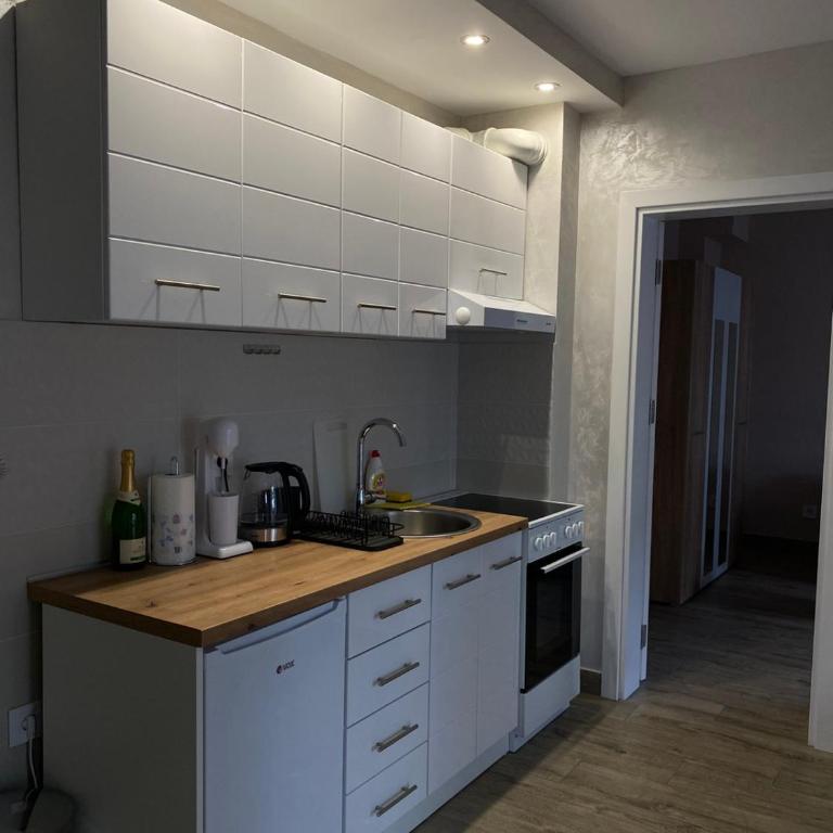 Apartman Maksimović Divčibare - Apartman s 1 Spavaćom Sobom i Terasom - 20