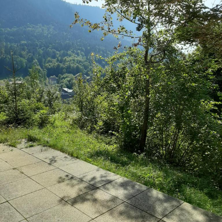 Châlet vue lac Léman à 1000 mètres d altitude - Chalet 3 Chambres - 3
