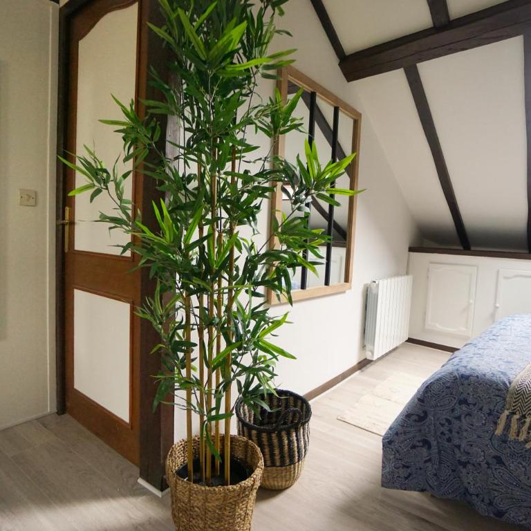 Studio "Sous les Toits" - Charmant et calme - Gare et Tram à 4 min - Apartment mit 1 Schlafzimmer - 13