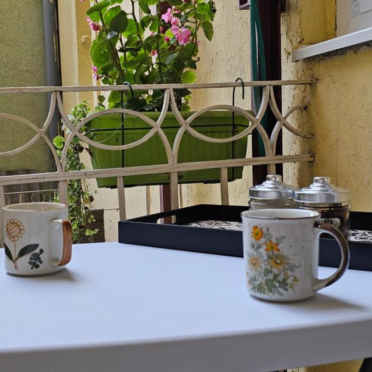 Apartment Teddy stari Grad - Twin Room with Terrace - 18