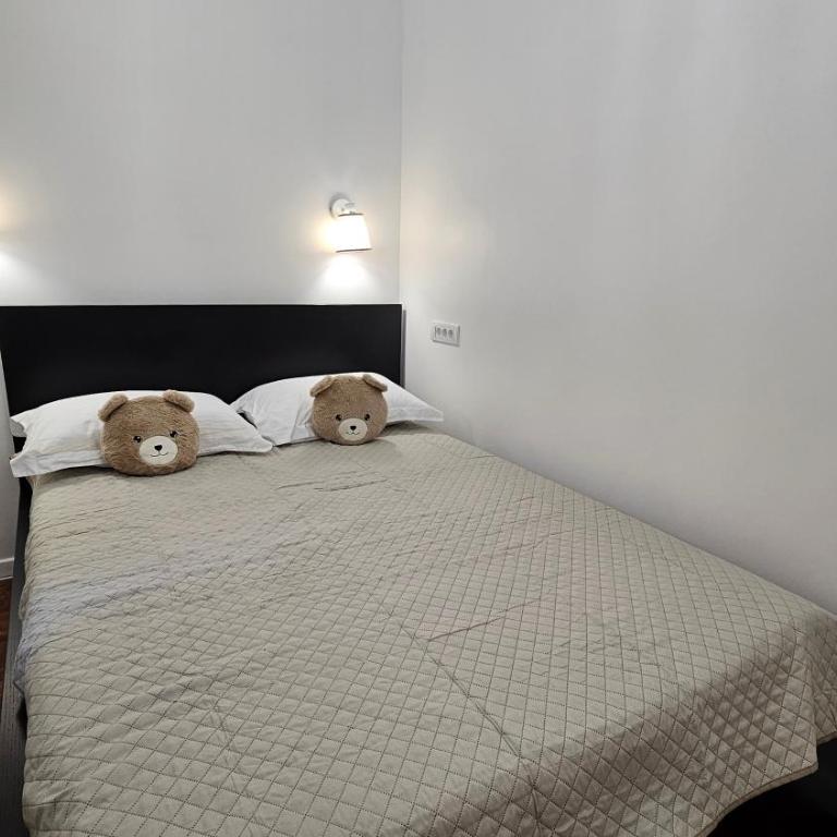 Apartment Teddy stari Grad - Twin Room with Terrace - 28