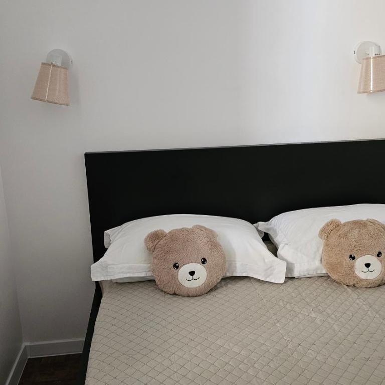 Apartment Teddy stari Grad - Twin Room with Terrace - 10