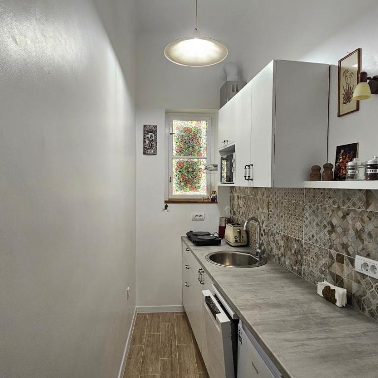 Apartment Teddy stari Grad - Twin Room with Terrace - 51