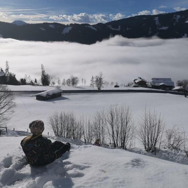 Sonnige ruhige Fewo Bergpanorama auf 1200m mit Süd Balkon - Apartment mit 2 Schlafzimmern - 24