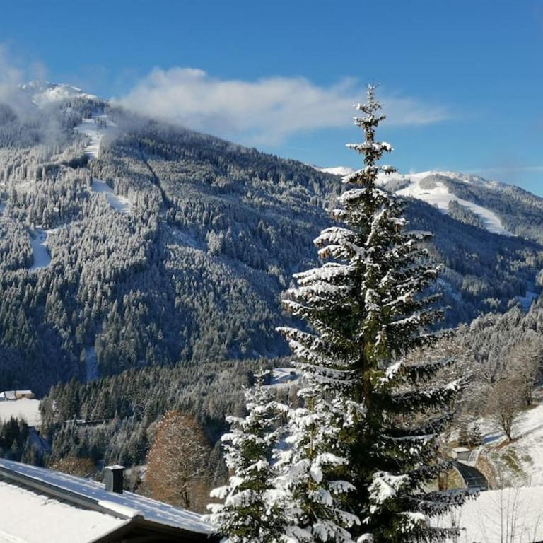 Sonnige ruhige Fewo Bergpanorama auf 1200m mit Süd Balkon - Apartment mit 2 Schlafzimmern - 32