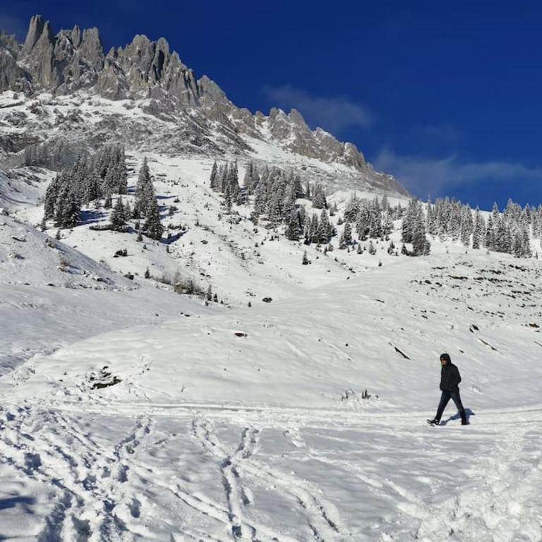 Sonnige ruhige Fewo Bergpanorama auf 1200m mit Süd Balkon - Apartment mit 2 Schlafzimmern - 44