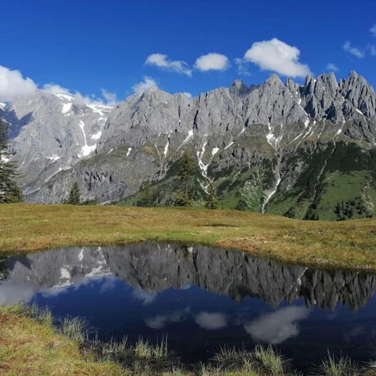 Sonnige ruhige Fewo Bergpanorama auf 1200m mit Süd Balkon - Apartment mit 2 Schlafzimmern - 50