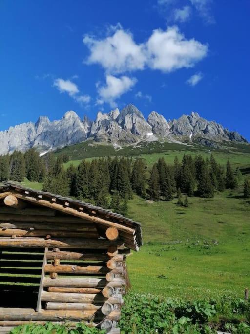 Sonnige ruhige Fewo Bergpanorama auf 1200m mit Süd Balkon - Apartment mit 2 Schlafzimmern - 55