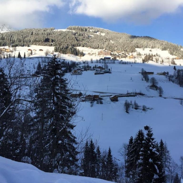 Sonnige ruhige Fewo Bergpanorama auf 1200m mit Süd Balkon - Apartment mit 2 Schlafzimmern - 58
