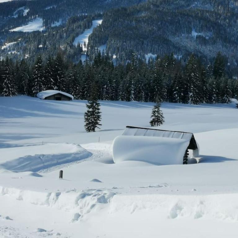 Sonnige ruhige Fewo Bergpanorama auf 1200m mit Süd Balkon - Apartment mit 2 Schlafzimmern - 69