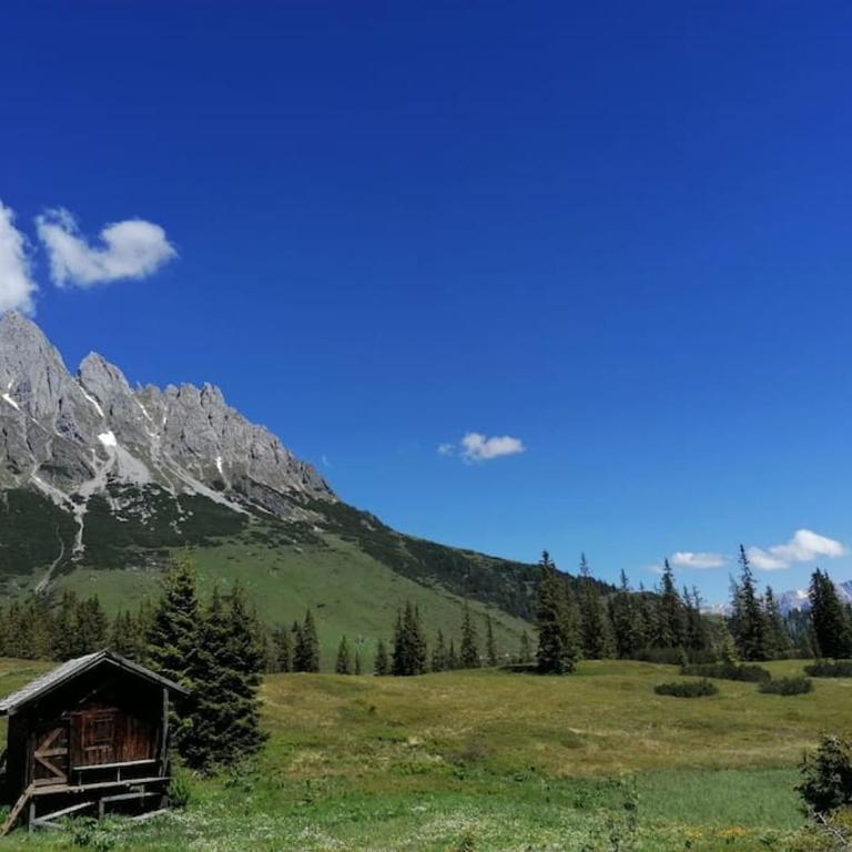 Sonnige ruhige Fewo Bergpanorama auf 1200m mit Süd Balkon - Apartment mit 2 Schlafzimmern - 73