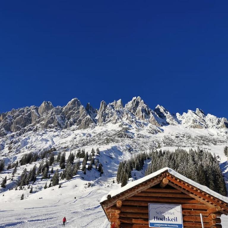 Sonnige ruhige Fewo Bergpanorama auf 1200m mit Süd Balkon - Apartment mit 2 Schlafzimmern - 74
