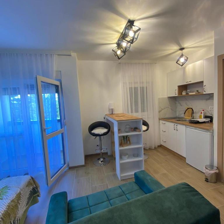 Apartman Emilija - Studio sa Balkonom - 8