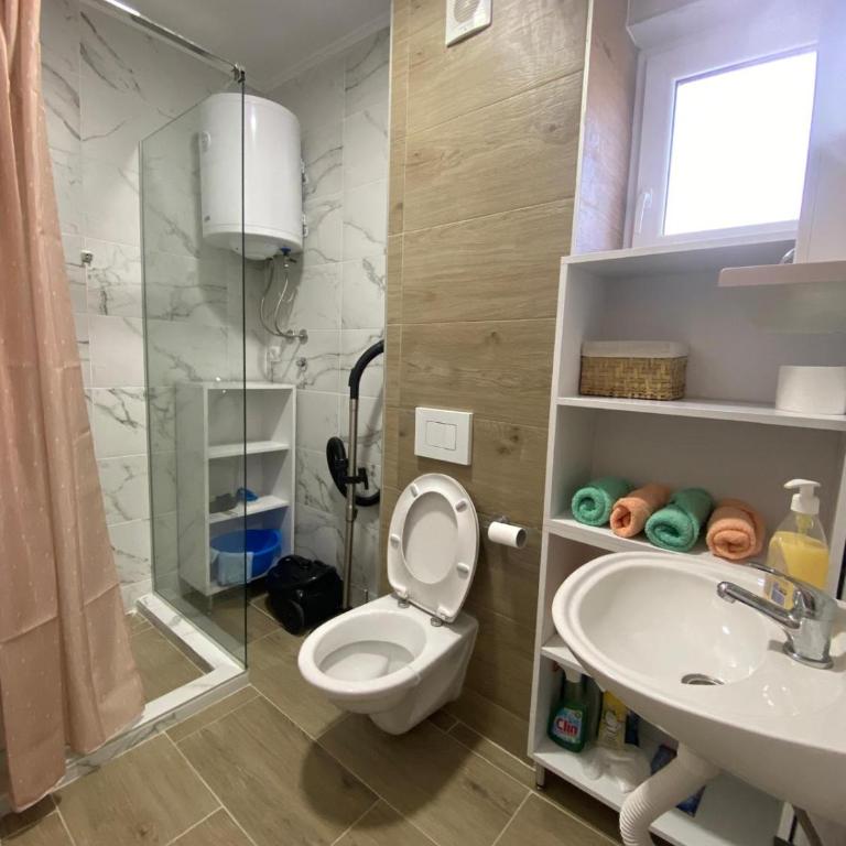 Apartman Emilija - Studio sa Balkonom - 22