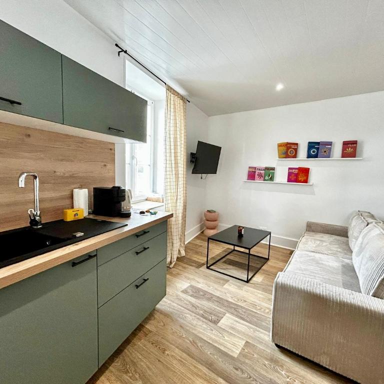Le Toulousain, proche Legrand et autoroute - Appartement 1 Chambre - 21