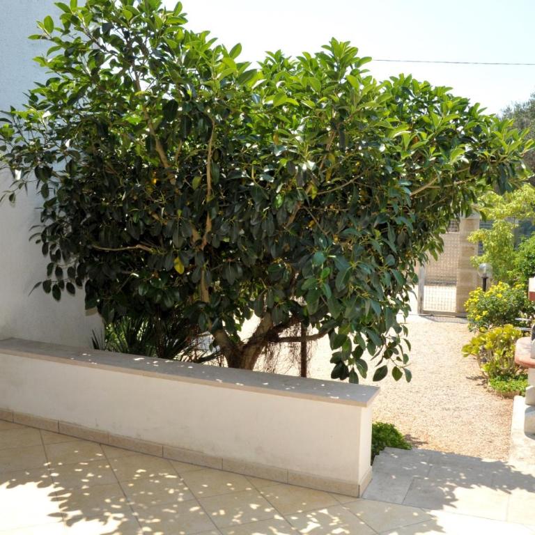Trilocale Lido Sabbioso - Casa con 2 Camere da Letto - 30