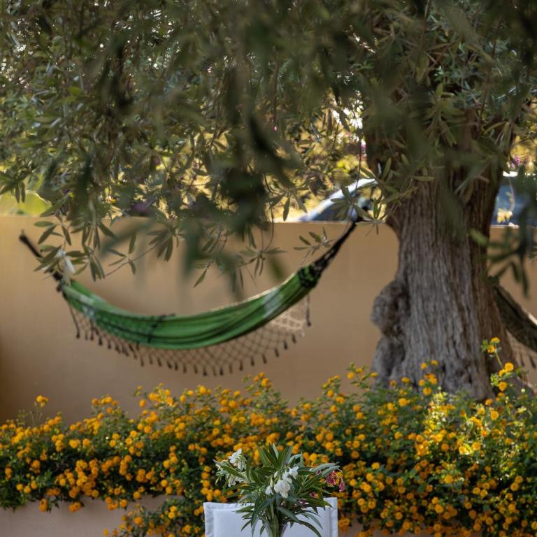 Helorus Noto - Gioi Villa con piscina - Villa con Piscina Privata - 6