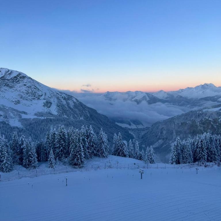 Avoriaz le M1212 - Appartement avec Vue sur la Montagne - 47