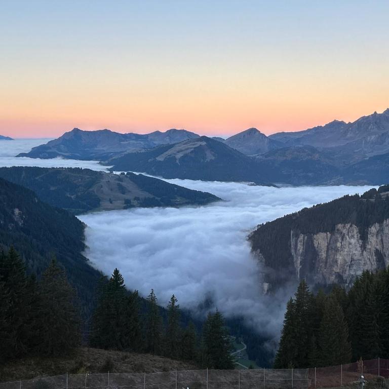 Avoriaz le M1212 - Appartement avec Vue sur la Montagne - 49