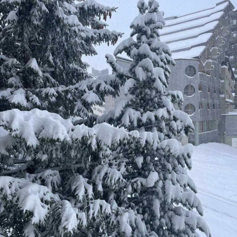 Avoriaz le M1212 - Appartement avec Vue sur la Montagne - 61
