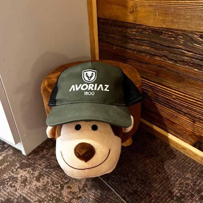 Avoriaz le M1212 - Appartement avec Vue sur la Montagne - 23