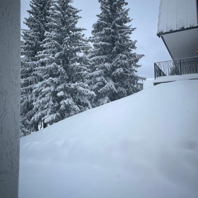 Harmony Peak Jahorina - Apartman sa 1 Spavaćom Sobom - 51
